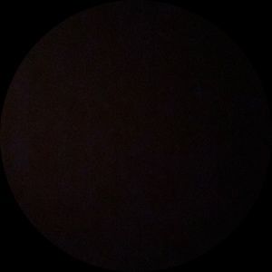 Meet your Posher, Zoe